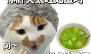 逃得过冰可乐,逃不过我妈的丝瓜汤